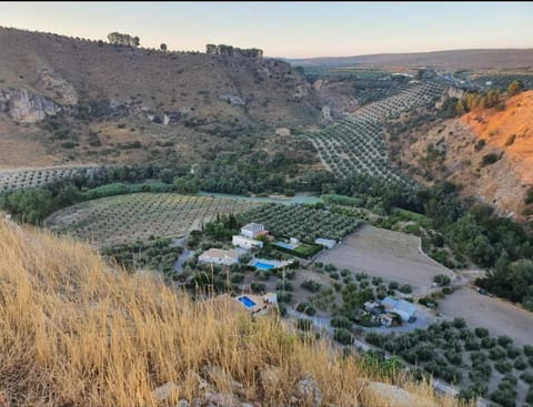Natural landscape, Bird's eye view, Garden