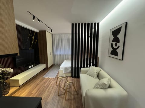 Bed, TV and multimedia, Living room, Photo of the whole room, Seating area, Bedroom
