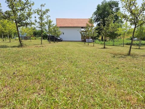 Natural landscape, Garden