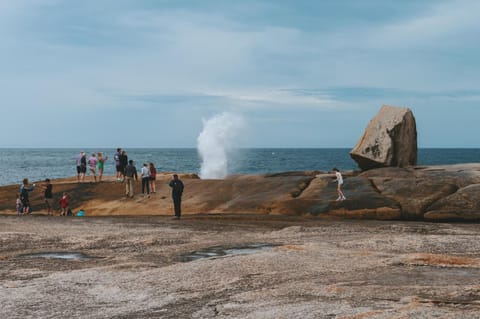 Coastal Cottage Bicheno House in Bicheno