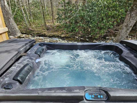 Quaint Villa, Pickleball Court, Creek, WIFI, Mountain Views, Starting at 79" House in Jenkins Mill