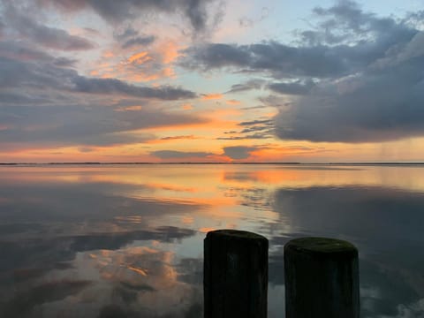 Das Schilfrohr House in Mecklenburg-Vorpommern, Germany