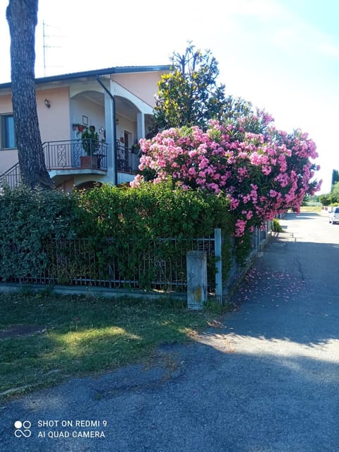 Property building, Neighbourhood, Garden, Street view