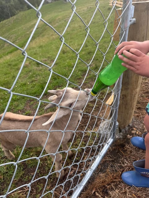 Private Cabin close to the City Centre Cabin in Whangārei