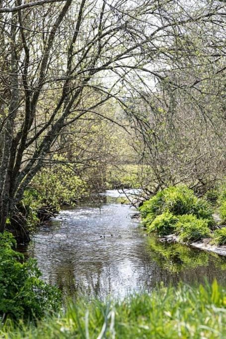 Cosy Couples Getaway - The Nook, set in 6 acres of private grounds House in England