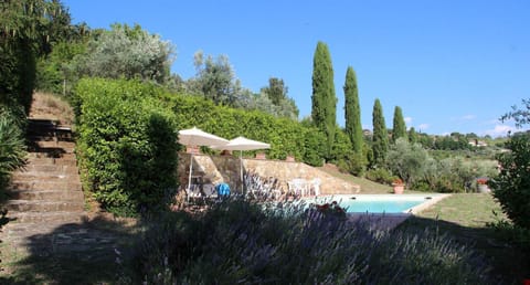 Villa Amaranto Villa in Panzano In Chianti