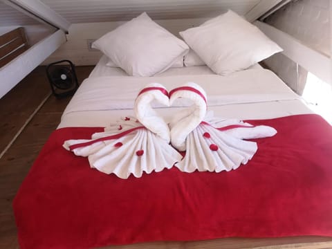 Coastal Cozy Home Apartment in Cape Town