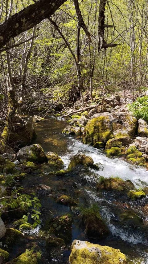 Vikendica Izvor House in Podgorica Municipality, Montenegro