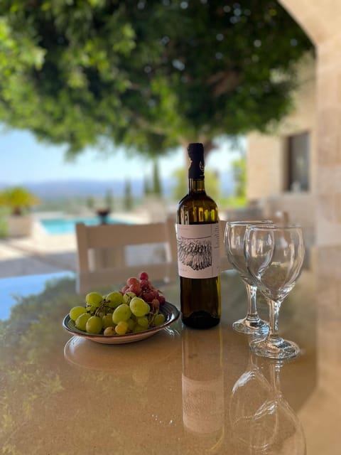 Villa Metochia Apartment in Crete