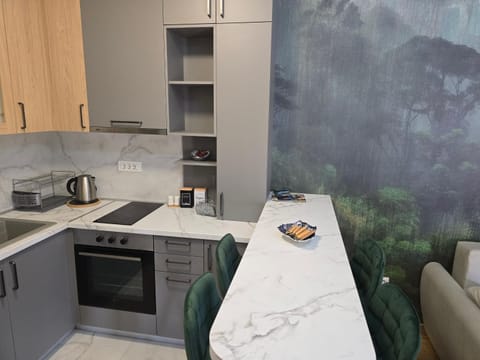 Bulevar lux Čačak Apartment in Serbia