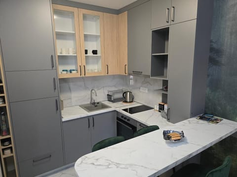 Bulevar lux Čačak Apartment in Serbia