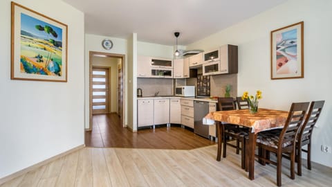 Kitchen or kitchenette, Living room, Dining area, stove