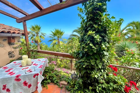 Balcony/Terrace, Garden view