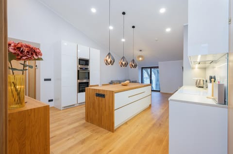 Kitchen or kitchenette, oven, stove