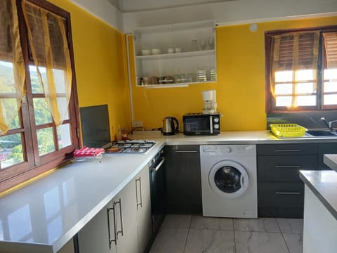 Coffee/tea facilities, Kitchen or kitchenette, washing machine