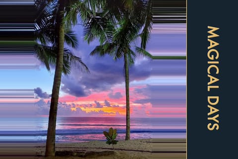 Beach, Sunset
