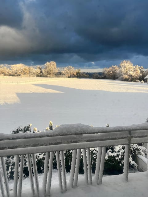 Seeblick Bodensee 6 Free parking Free internet Apartment in Bregenz