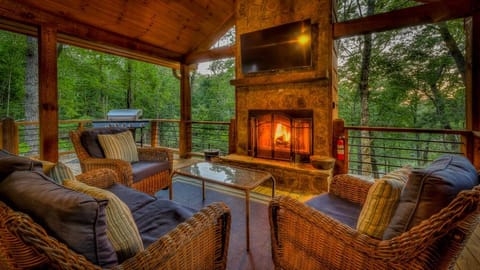 Whiskey Blue House in Mineral Bluff