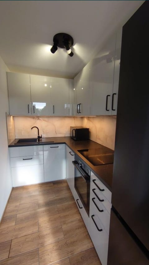 Kitchen or kitchenette, dishwasher, oven, stove