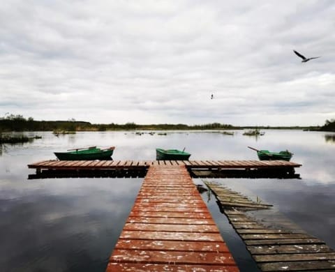 Stajnia Czahary Campground/ 
RV Resort in West Pomeranian Voivodeship, Poland