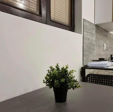 Kitchen or kitchenette, Photo of the whole room, towels