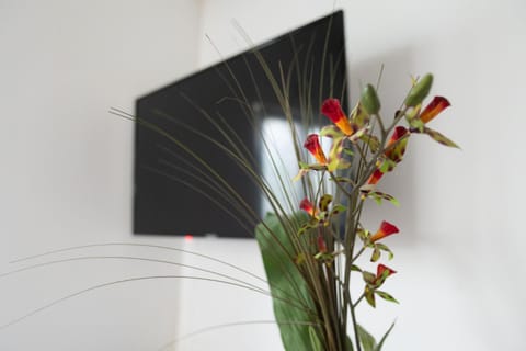 Joli appartement à Montmagny Apartment in Île-de-France