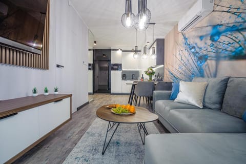 TV and multimedia, Kitchen or kitchenette, Living room, Seating area, Dining area, pet friendly, stove