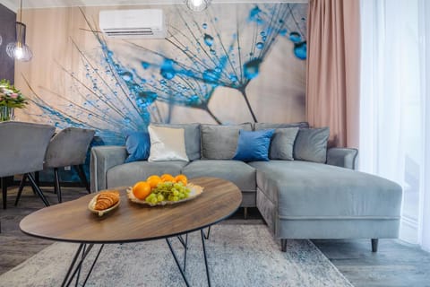 Living room, Food and drinks, Seating area, Dining area, Food, air conditioner