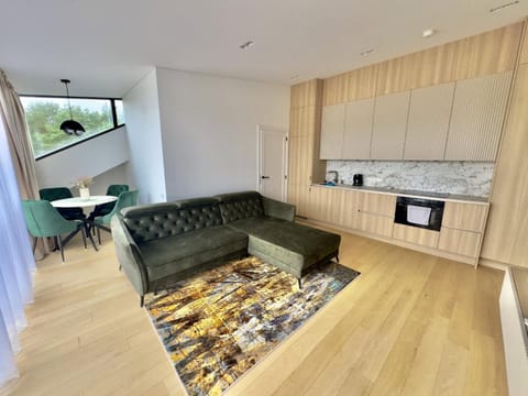 Living room, kitchen