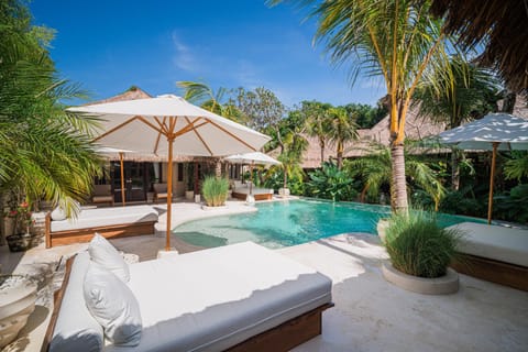 Garden, Garden view, Pool view, Swimming pool