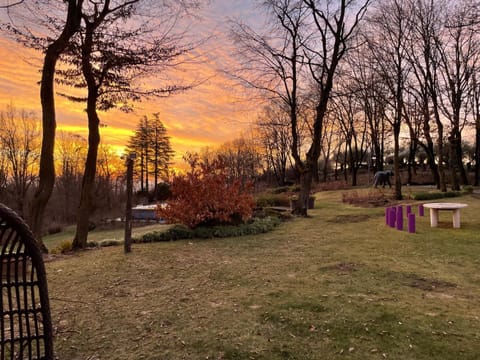 Spring, Day, Natural landscape, Garden, Garden view, Sunrise, Sunset