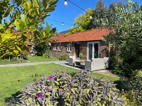 Garden view, Area and facilities