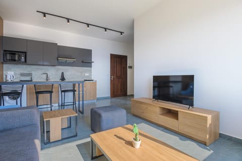 TV and multimedia, Kitchen or kitchenette, Living room, Seating area, microwave, minibar, stove, washing machine