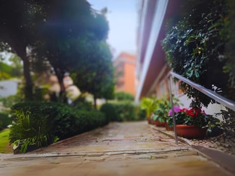 Property building, Day, Garden, Garden view