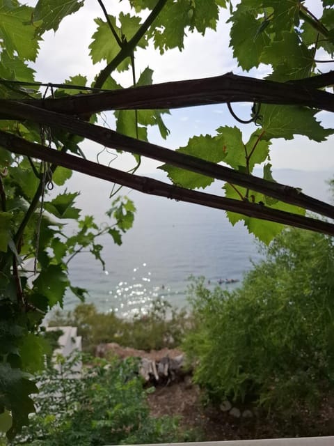 beach apartment drasnice Apartment in Split-Dalmatia County