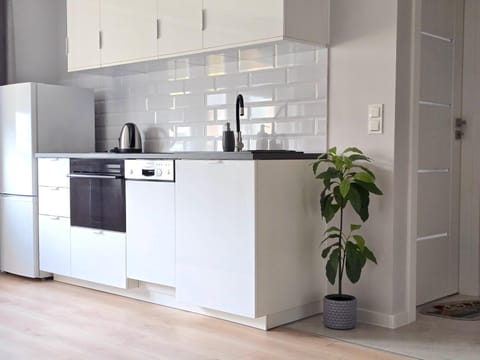 Kitchen or kitchenette, dishwasher, stove