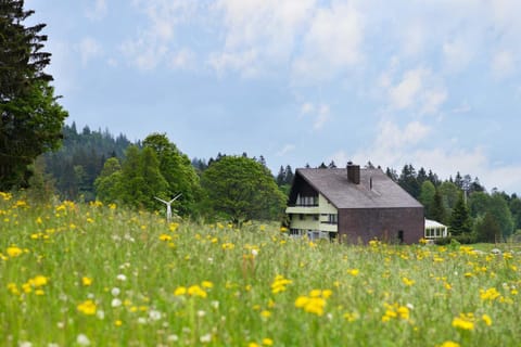 Property building, Natural landscape