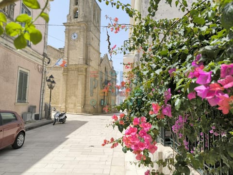 Spring, Day, Neighbourhood, City view, Landmark view, Street view, Location, Parking