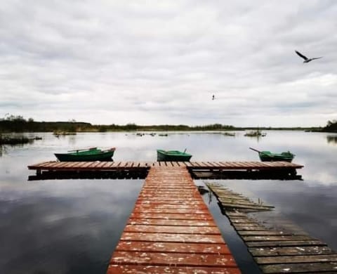 Stajnia Czahary 2 Farm Stay in West Pomeranian Voivodeship, Poland