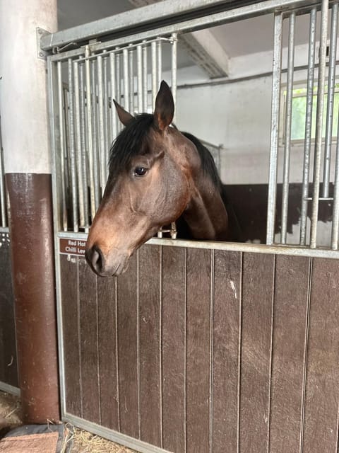 Stajnia Czahary 3 Farm Stay in West Pomeranian Voivodeship, Poland