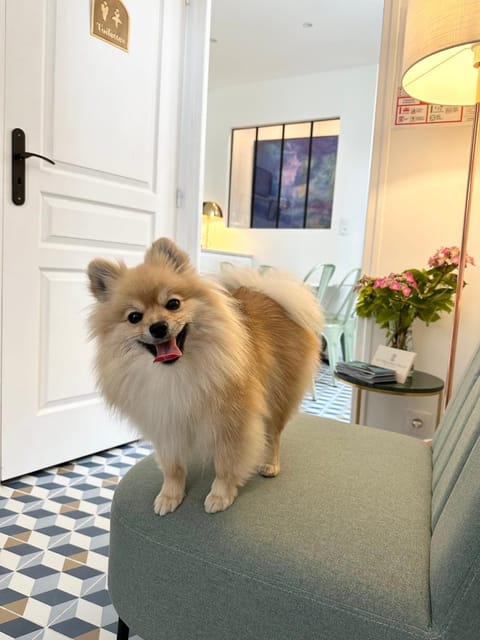 Villa Jade Etretat Hotel in Étretat