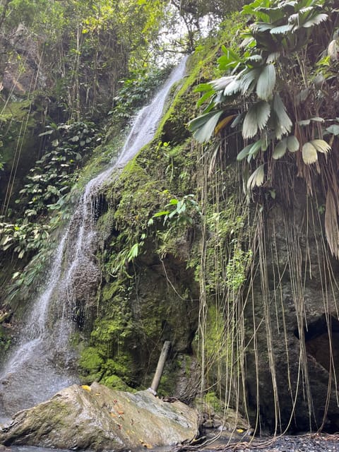 Hiking