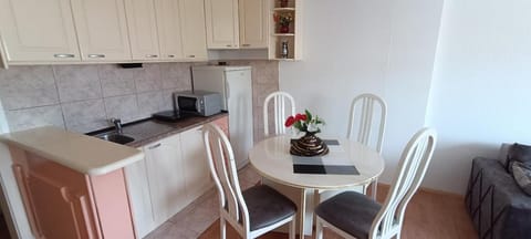 Kitchen or kitchenette, Dining area, stove