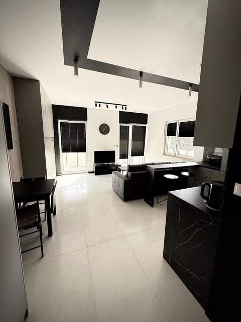 Kitchen or kitchenette, Living room, Dining area