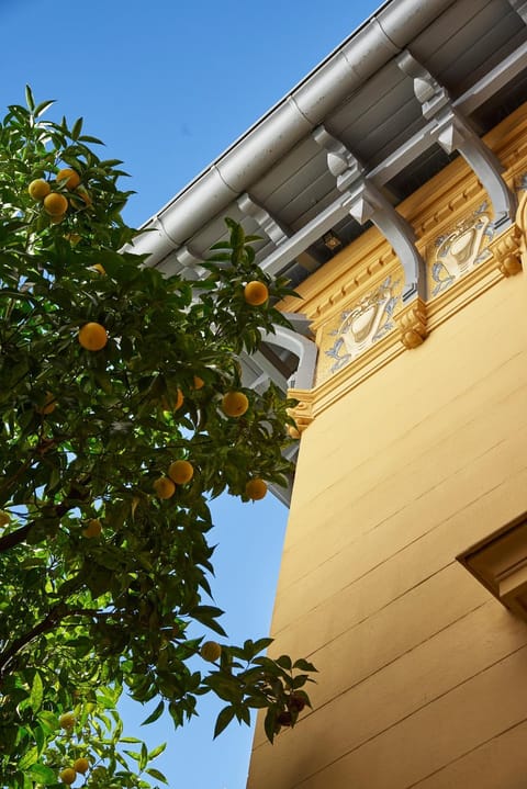 Property building, Balcony/Terrace