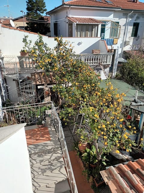 Property building, Day, Garden, Garden view