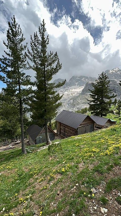 Natural landscape, View (from property/room), Mountain view
