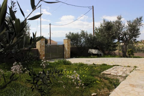 Garden, Garden view, Inner courtyard view