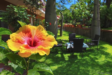Day, Garden, Garden view