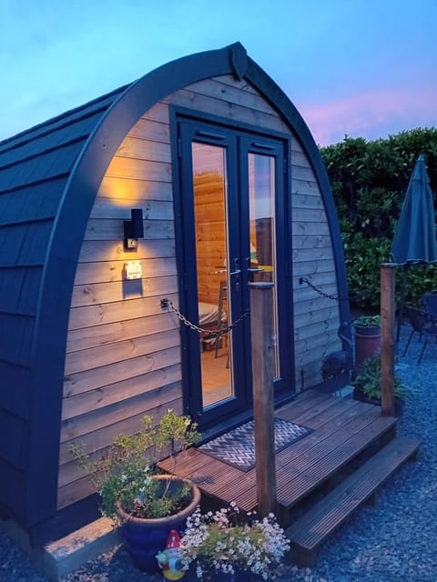 Property building, Night, Garden view